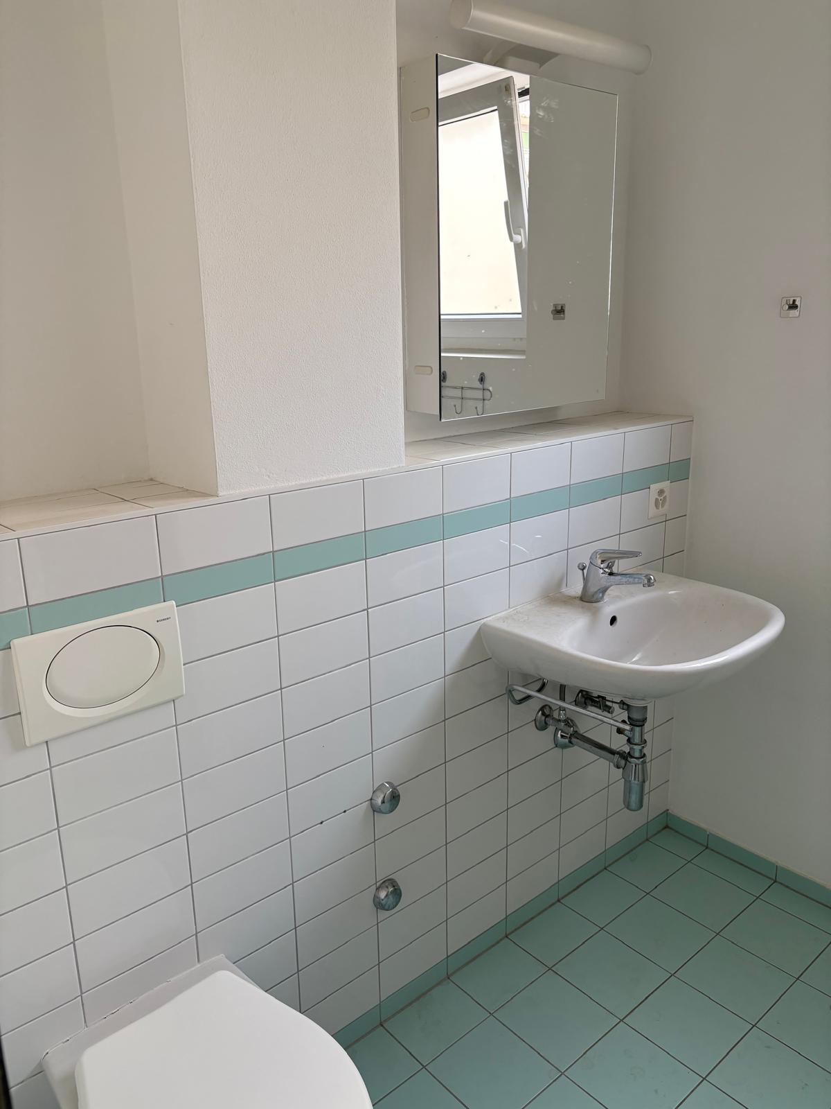 Second bathroom with WC and washbasin