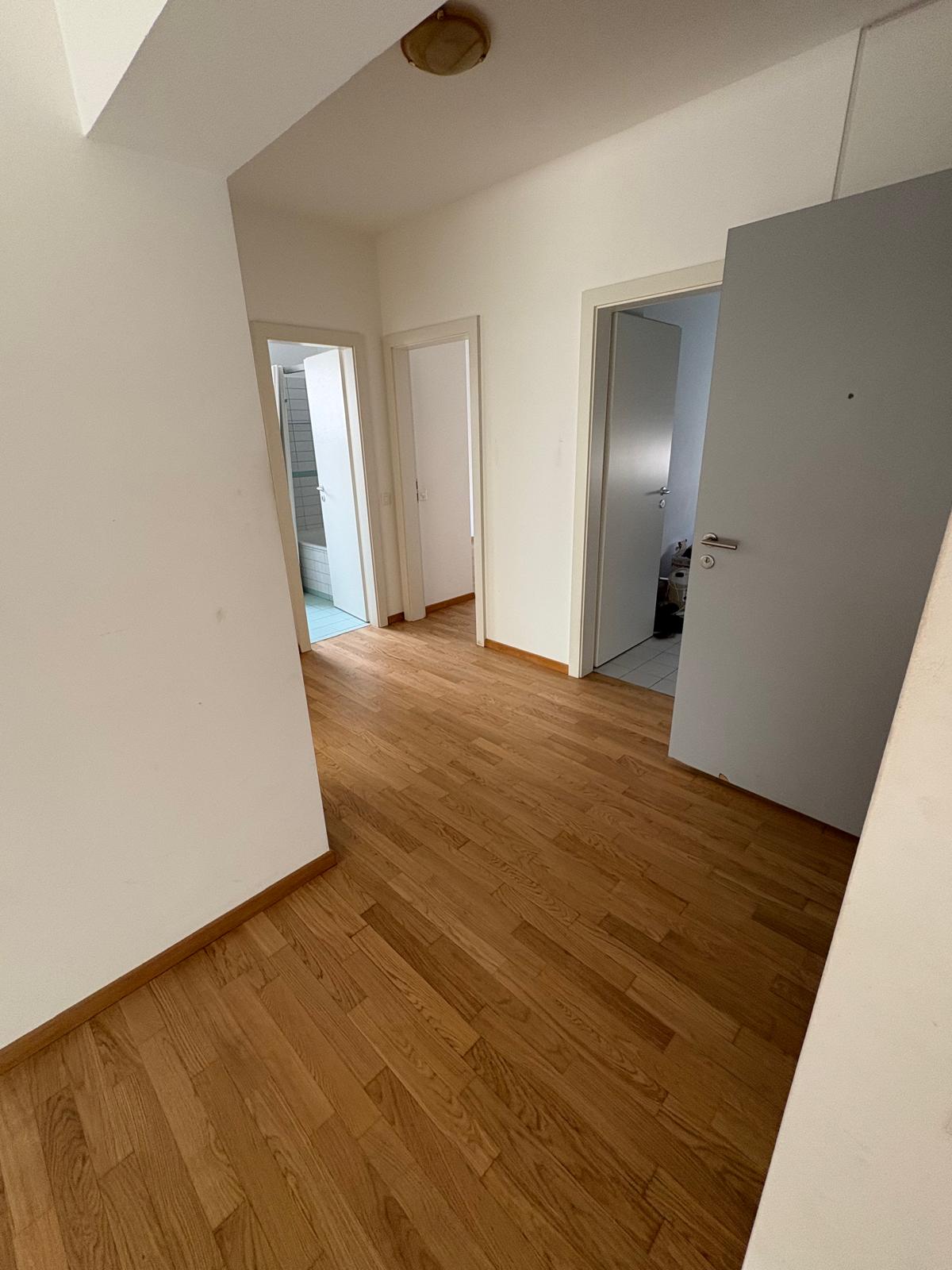 Apartment entrance hall with access to kitchen, bathroom and rooms