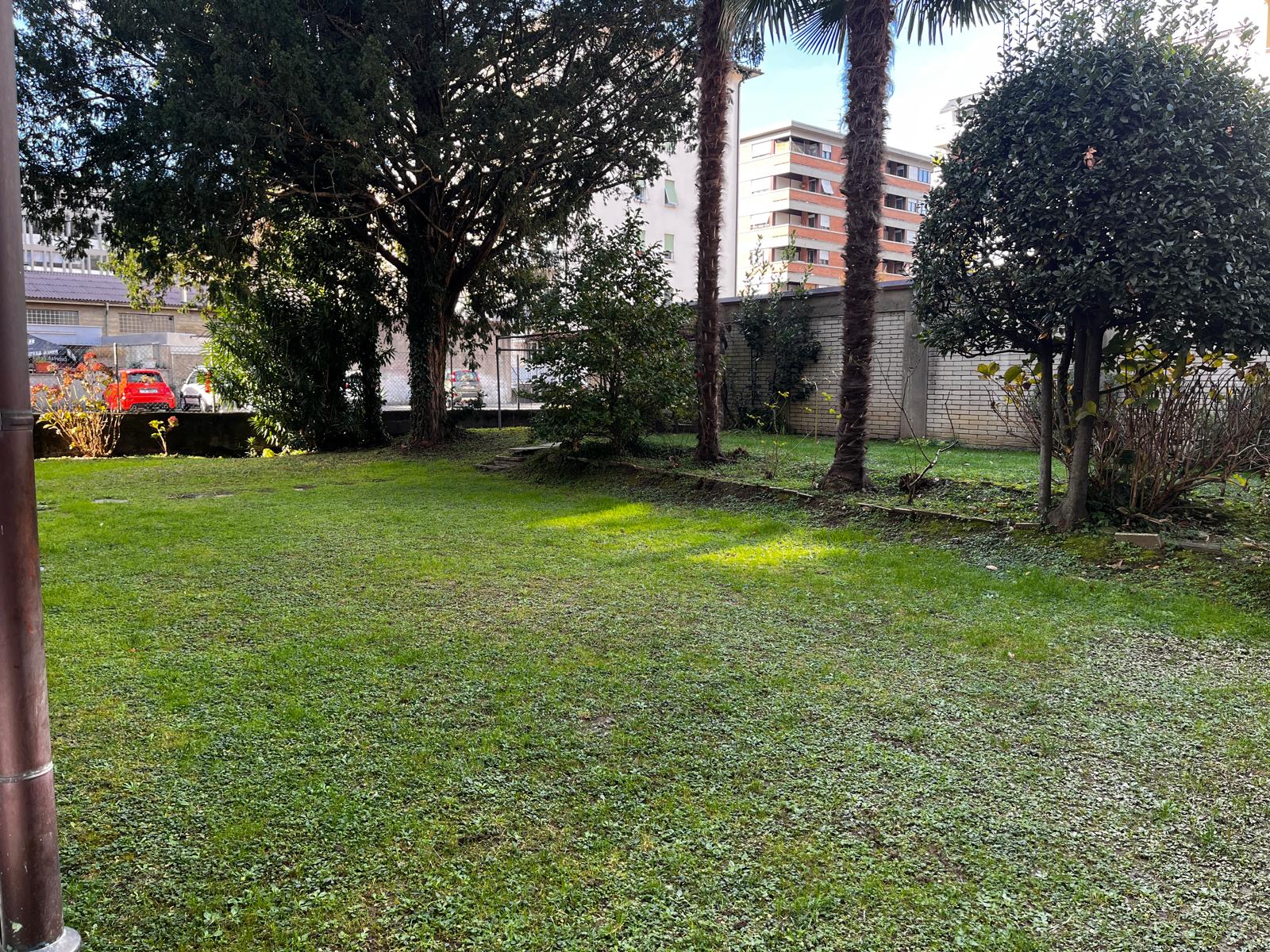 Private garden with palm trees and mature greenery at Via Tiglio 17